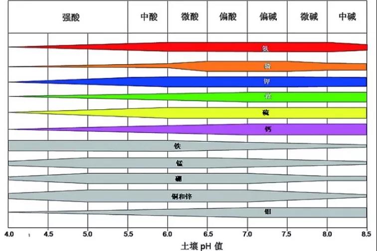 土壤PH速測(cè)儀，快速測(cè)PH